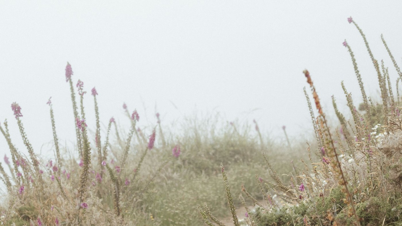 Foggy rough trail showing difficult navigation conditions